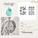 H2O Transfers - Blossomy