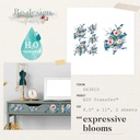 H2O Transfers - Expressive Blooms