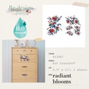 H2O Transfers - Radiant Blooms