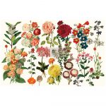 Redesign Decoupage Décor Tissue Paper - Forest Garden