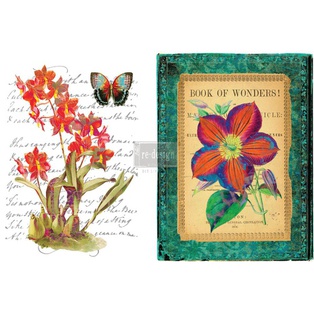 Redesign decor transfers wondrous flora 22x 32