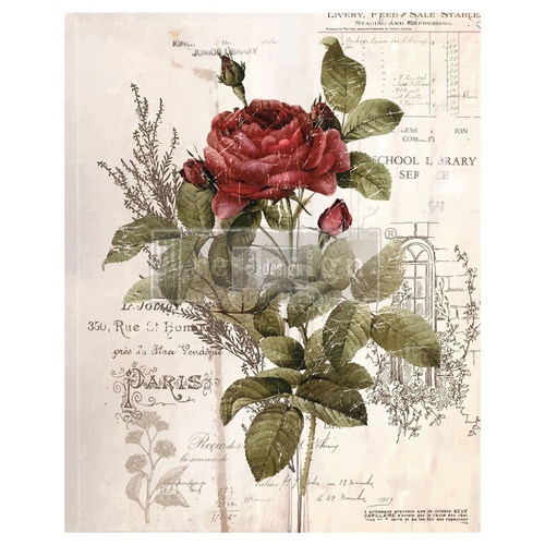 [655350640675] Redesign decor transfers botanical rose 24x 30