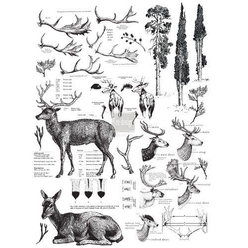 [655350641955] Redesign decor transfers deer size 23x 33
