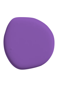 [GroepproductDarkPurple] Dark Purple
