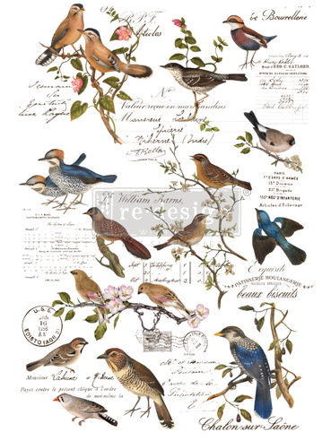 [655350647551] Redesign Décor Transfers® - Postal Birds - size 60,96 cm x 88,90 cm, cut into 3 sheets