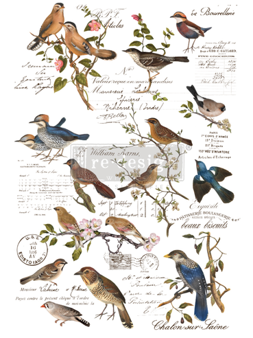 [655350647551] Redesign decor transfers postal birds 24x35 into 3 sheets