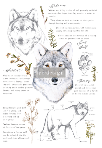 [655350646226] Redesign Decor Transfers® - Gray Wolf